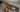 The Beauty And Power Of The Black Walnut Wood