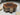 Orchid Beli Noir Wood Drum Coffee Table