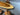 Ascend Live Edge Oval Shape Coffee Table