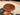 Epicurean Solid Wood Coffee Table