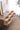 Compact Multi-Drawers White Ash Wood TV Stand