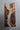 Virtue Solid Wood Rectangular Epoxy Table Top