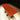 Crimson Fire Grain Bubinga dining table made from Africa Bubinga wood with a live edge, showcasing rich grain and natural wood texture.