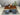 Black American Walnut Slab, Slab For Dining Table, Wooden Slab For Kitchen