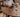 Circle of Life Walnut Wood Dining Table