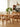 French Solid Cherry Wood Gathering Table