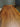 wood slab table legs, Congo walnut wood slab table top - SlabstudioHongKong