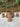 outdoor table X 1 set, Camphor coffee table - SlabstudioHongKong
