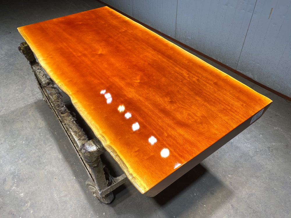 Zambia wood slab table top, Rhodesian Copal wood slab coffee table - SlabstudioHongKong