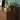 Minimalism Solid American Black Walnut Wood Kitchen Cabinet